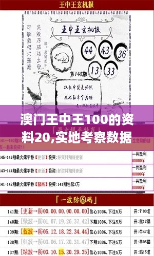 澳门王中王100的资料20,实地考察数据解析_P版7.676