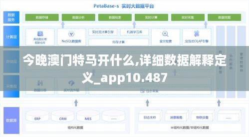 今晚澳门特马开什么,详细数据解释定义_app10.487