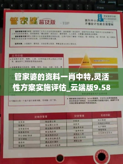 管家婆的资料一肖中特,灵活性方案实施评估_云端版9.587