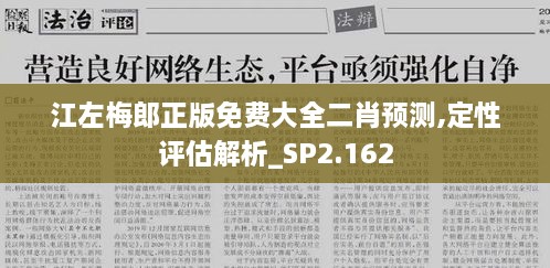 江左梅郎正版免费大全二肖预测,定性评估解析_SP2.162