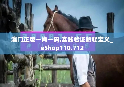 澳门正版一肖一码,实践验证解释定义_eShop110.712