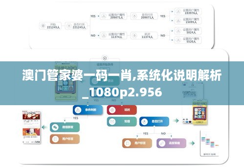 澳门管家婆一码一肖,系统化说明解析_1080p2.956