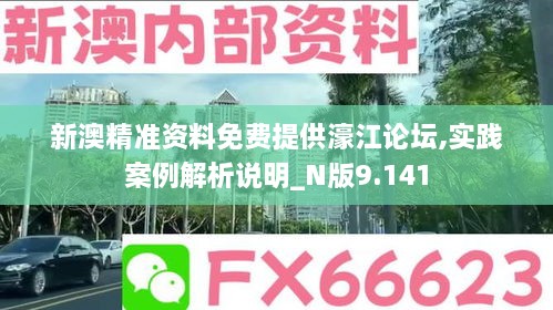 新澳精准资料免费提供濠江论坛,实践案例解析说明_N版9.141