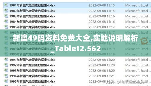 新澳49码资料免费大全,实地说明解析_Tablet2.562