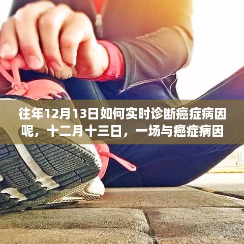 癌症病因探寻之旅，实时诊断与温馨探寻