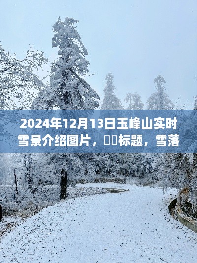 雪落玉峰山，冬日探秘之旅，实时雪景欣赏与内心平静之旅