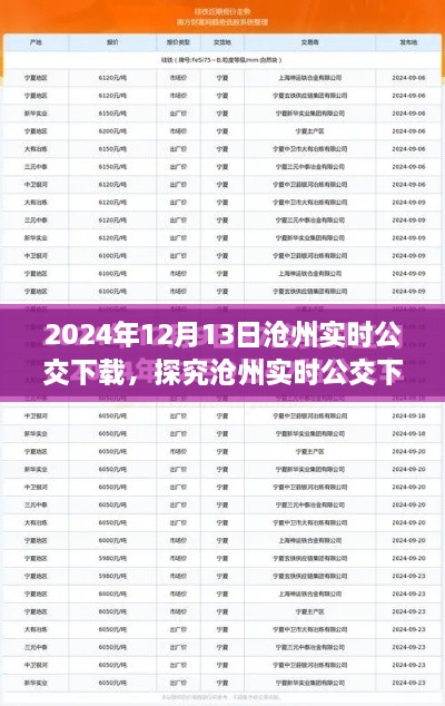 沧州实时公交下载，价值与争议并存（2024年12月13日）