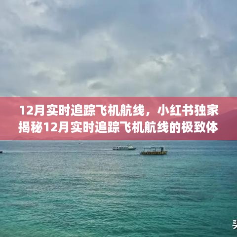 小红书独家揭秘，12月飞机航线实时追踪之旅