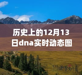 揭秘历史中的DNA动态图与秘境探索，小巷特色小店的神秘面纱下的秘密探索日——12月13日实时动态图揭秘