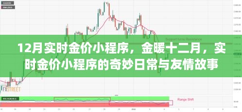 金暖十二月，实时金价小程序与友情故事的奇妙日常