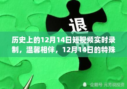 12月14日历史短视频回顾，温馨相伴的特殊时光之旅