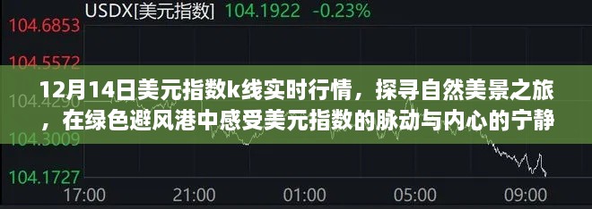 探寻自然美景之旅，感受美元指数脉动与内心宁静的绿色避风港实时行情解析。