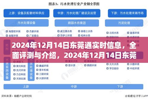 2024年东莞通实时信息全面评测与深度解析，产品特性、用户体验与目标用户分析