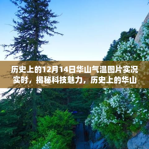 揭秘科技魅力，华山之巅的历史与今日气温实况实时探索