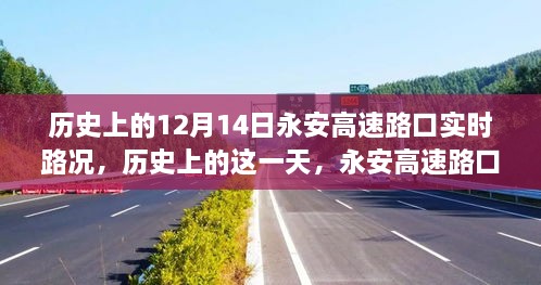 历史上的永安高速路口实时路况纪实，回顾12月14日小红书分享纪实🚗🛣️