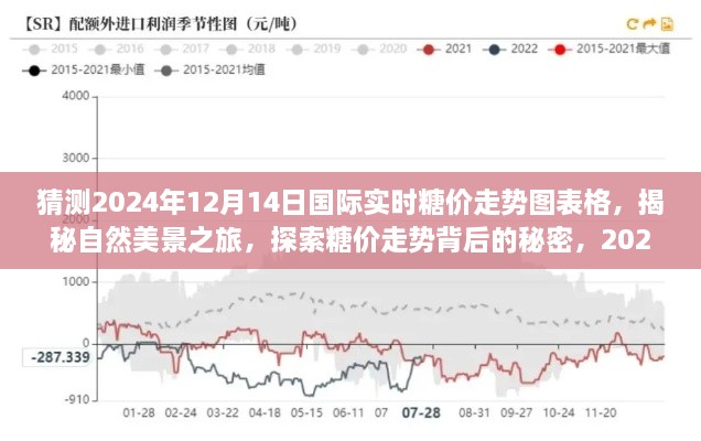 揭秘糖价走势背后的秘密，探索国际实时糖价走势预测之旅（2024年12月14日）