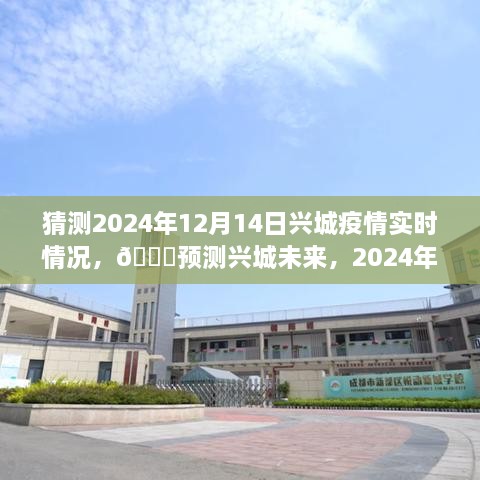 🌟兴城未来疫情动态猜想与观察，2024年12月14日实时情况预测🌟