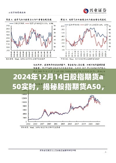 揭秘股指期货A50实时动态，2024年12月14日的策略洞察与实时行情分析