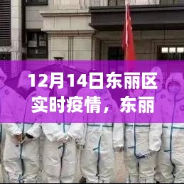 东丽区实时疫情动态更新（12月14日版），疫情现状、防控要点与科普解读