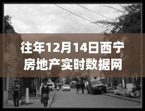 2024年12月15日 第15页