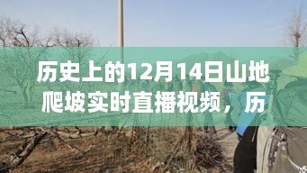 历史上的12月14日山地爬坡实时直播全景回顾与深度解析