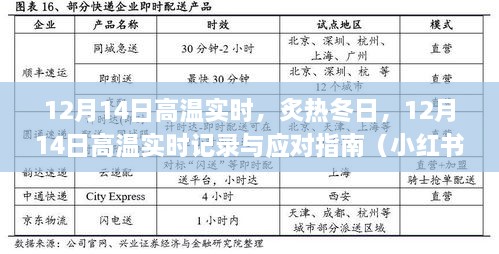 2024年12月 第283页