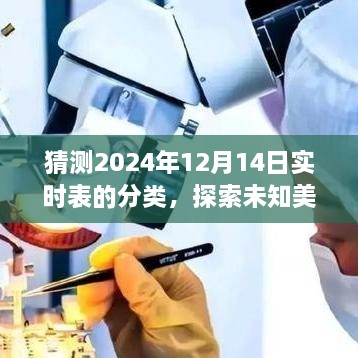 探索未知美景，寻找内心平静——揭秘2024年12月14日的奇妙自然之旅