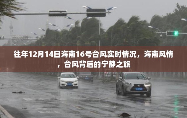 海南台风背后的宁静之旅，历年12月1 4日海南风情与台风实时情况回顾