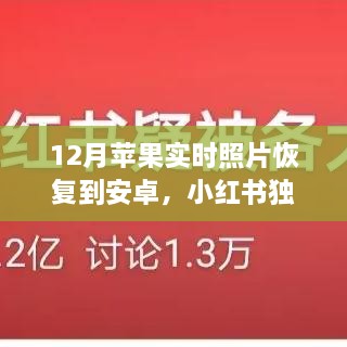 2024年12月 第275页