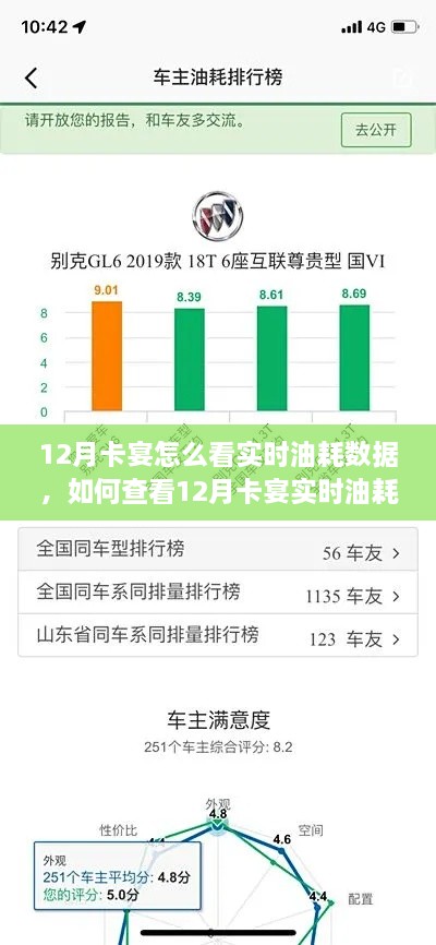 详细步骤指南，如何查看卡宴车型在12月下的实时油耗数据