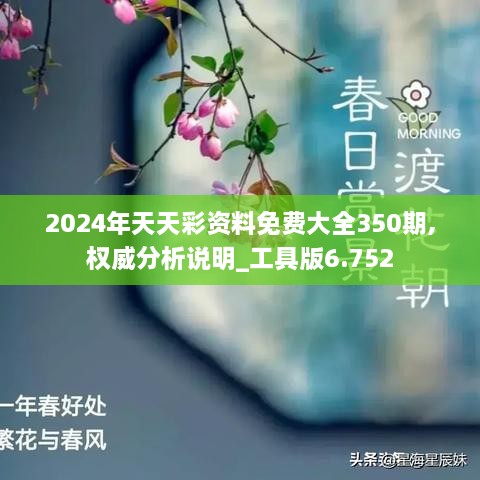 2024年天天彩资料免费大全350期,权威分析说明_工具版6.752