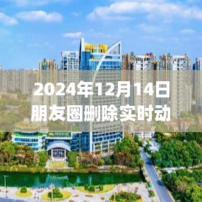 2024年12月14日朋友圈动态调整，删除实时动态的背后原因与管理策略