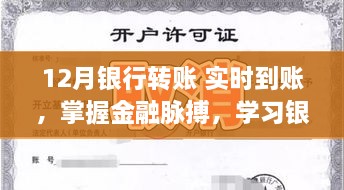 掌握金融脉搏，银行转账实时到账的力量与自信塑造