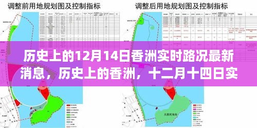 历史上的香洲，深度解析十二月十四日实时路况最新消息