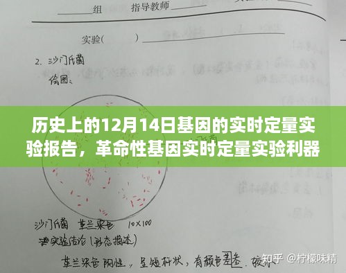 革命性基因实时定量实验揭秘历史与未来，科技魅力的体验报告