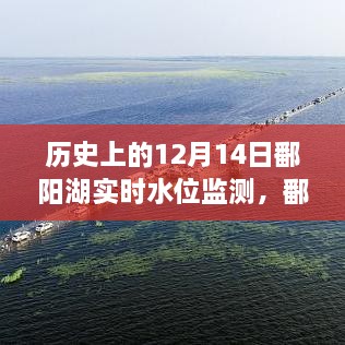 鄱阳湖实时水位监测背后的奋斗与智慧，励志故事揭秘历史中的努力与智慧