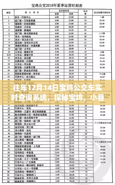 探秘宝鸡公交实时查询系统，小巷深处的宝藏店，历年12月14日回顾