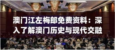 澳门江左梅郎免费资料：深入了解澳门历史与现代交融的独特魅力