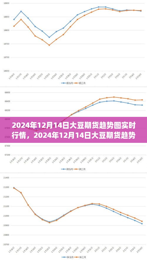 2024年12月14日大豆期货趋势图实时行情及分析