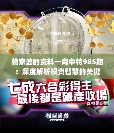 管家婆的资料一肖中特985期：深度解析投资智慧的关键