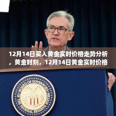 12月14日黄金实时价格走势深度解析，黄金投资时刻的洞察