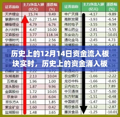 揭秘历史资金涌入板块，揭秘十二月十四日的金融奇迹时刻