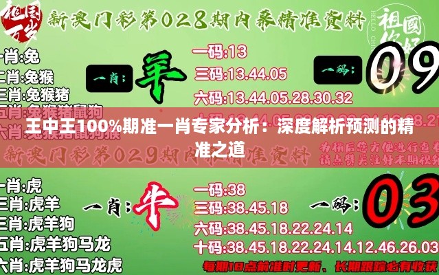 王中王100%期准一肖专家分析：深度解析预测的精准之道