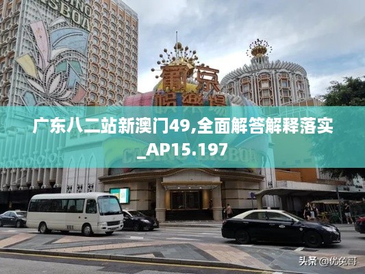 广东八二站新澳门49,全面解答解释落实_AP15.197