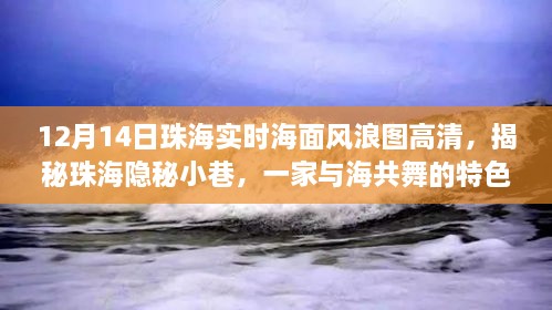 珠海隐秘小巷与海共舞的特色小店，揭秘海面风浪图下的探索之旅！