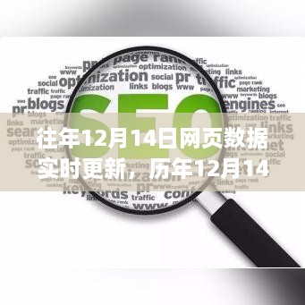 历年与实时，揭秘12月14日网页数据更新背后的奥秘与SEO优化策略