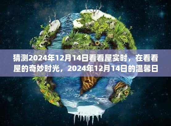 2024年12月14日看看屋实时，奇妙时光中的温馨日常