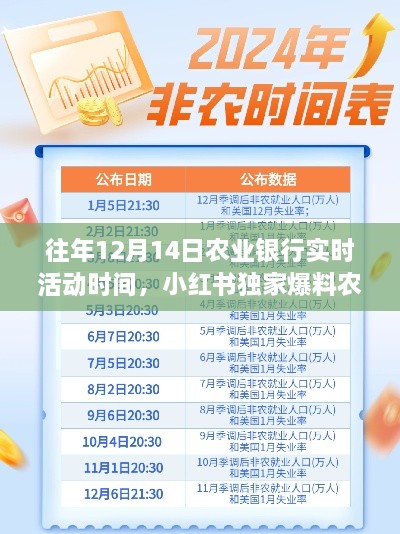 小红书独家爆料，农业银行历年12月14日实时活动时间及福利大放送！