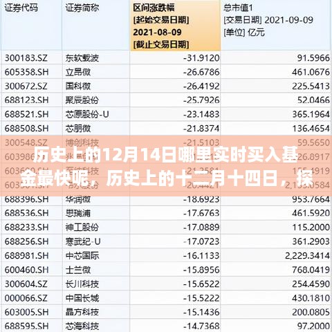 探寻黄金时刻，历史上的十二月十四日基金投资的快速买入策略与黄金时刻揭秘