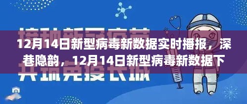 深巷隐韵中的独特小店，新型病毒数据实时播报与观察